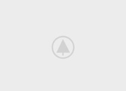 wood-gallery-placeholder wood-gallery-placeholder