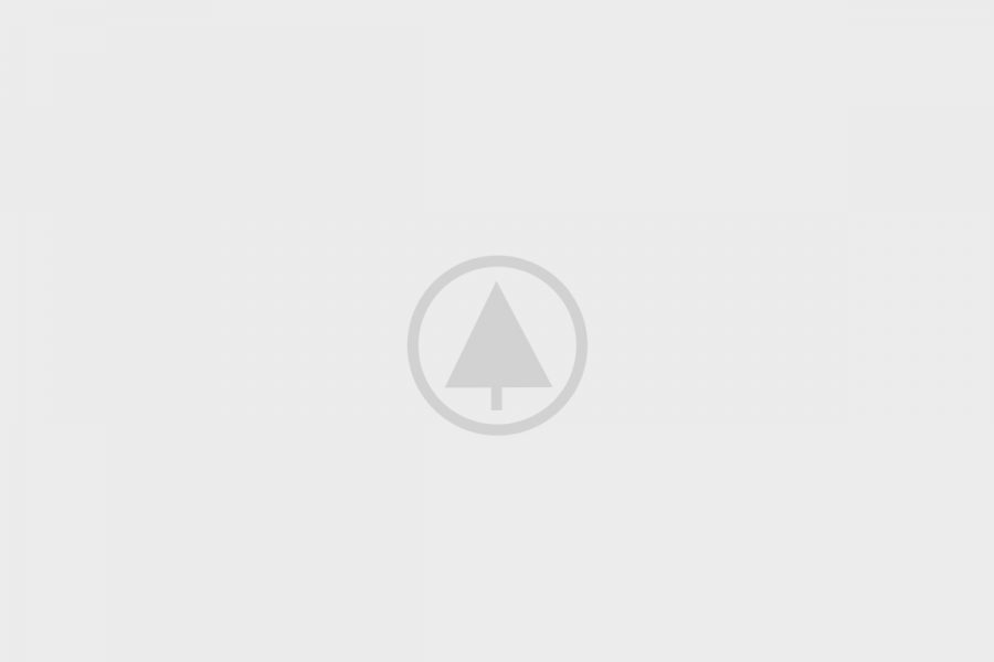 wood-gallery-placeholder-4 wood-gallery-placeholder-4