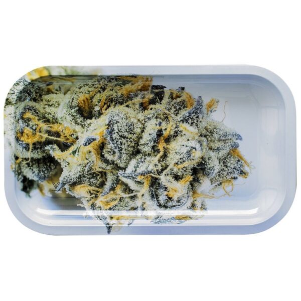 Поднос Girl Scout Coockies 27 x 16 см Поднос Girl Scout Coockies 27 x 16 см
