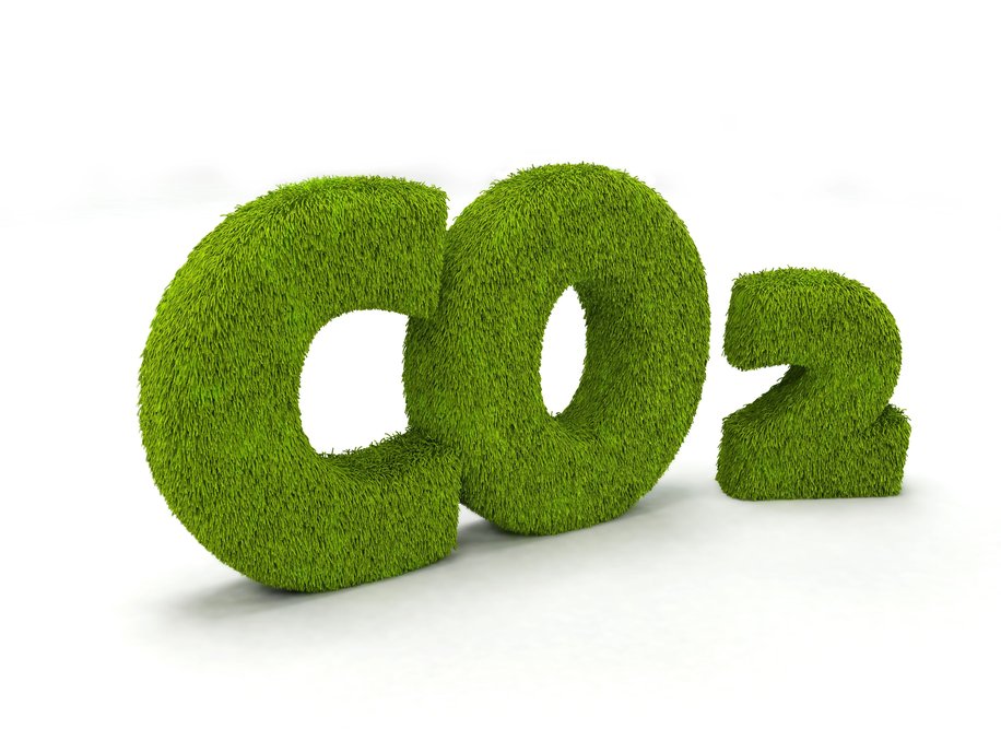 CO2 - лучший друг всех гроуверов CO2 - лучший друг всех гроуверов